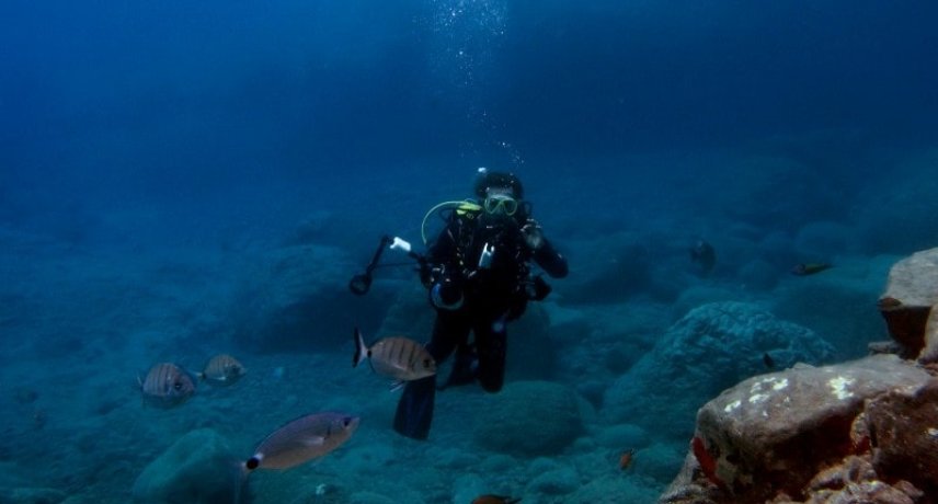 7. scuba diving in madeira island